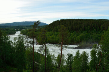 long majestic fast paced river in forest landscape