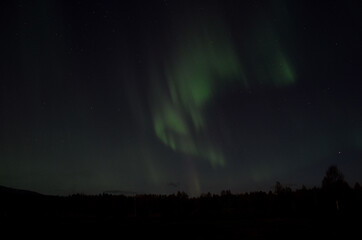 Fototapeta na wymiar aurora borealis dancing on the night sky in autumn