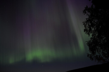 vibrant aurora borealis on autumn night sky