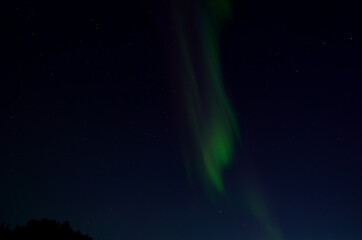 aurora borealis on autumn sky