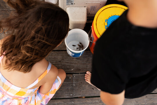 Kids Looking At Crabs