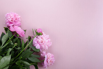 Beautiful pink peonies on pink background top view, flat lay