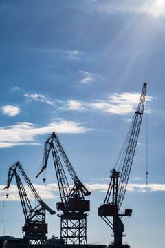 Crane silhouettes