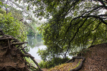 irish landscape, irish park
