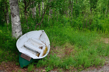 river boat in forest