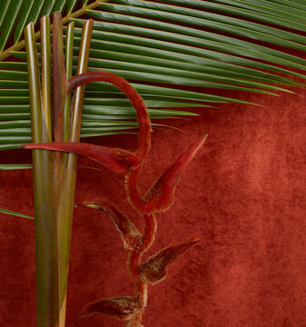 Tropical Plants on Red Velvet Background
