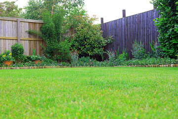 Fototapeta na wymiar Garden border surrounded by a wooden fence and a grass lawn