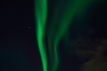 Vivid green aurora borealis, northern light on late autumn night sky