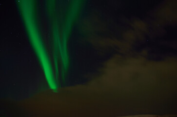 Vivid green aurora borealis, northern light on late autumn night sky