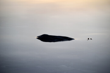 single stone in white dreamy fjord water