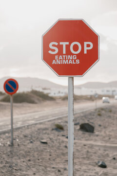 Road sign in mountains with rejection stop eating animals.