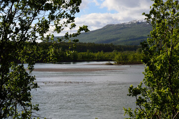 river and forest
