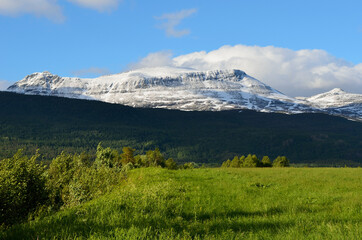 Fototapeta premium green pasture, snowy mountain and blue sky