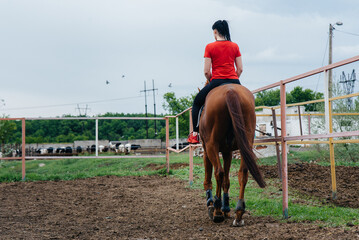 A young and pretty girl is learning to ride a thoroughbred Mare on a summer day at the ranch. Horse...