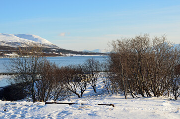 snowy sea shore with blue fjord and snowy mountain peak