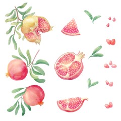 Set of pomegranate fresh fruit, half and section, leaves and grain. Watercolor pomegranate pattern. Fruits isolated on white background