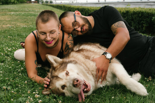 Couple lies on the grass with their malamut in the park