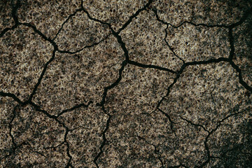 Grunge background for design mock up
