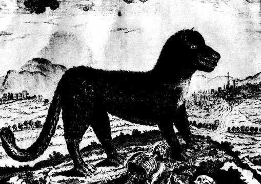gravure ancienne du XVIII si&egrave;cle montrant la b&ecirc;te du g&eacute;vaudan ayant tu&eacute; des gens