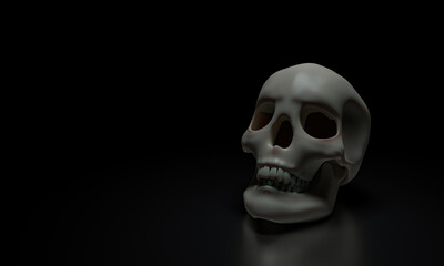 Human skull model, clean skull head, placed on a shiny surface, and a black background. 3D Rendering