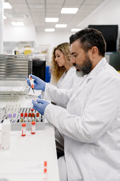 Scientists working at laboratory