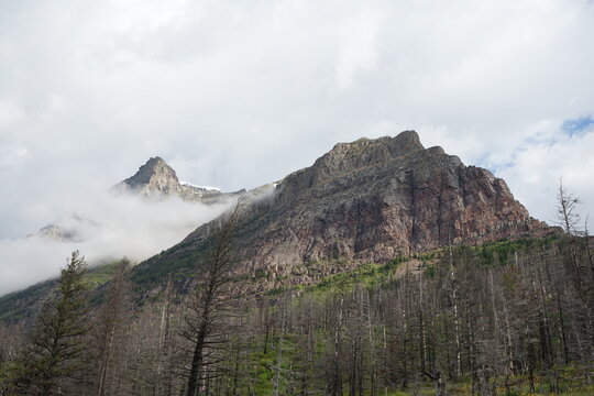 Leafless Trees and Mountains in The Clouds