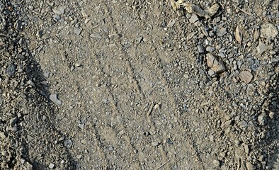 Tread track