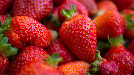 fresh Kashubian strawberries in closeup