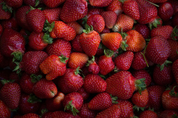 fresh Kashubian strawberries in closeup