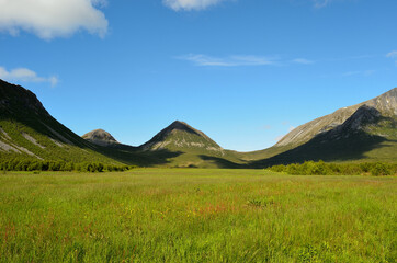 Fototapeta premium beautiful valley and green field in summer