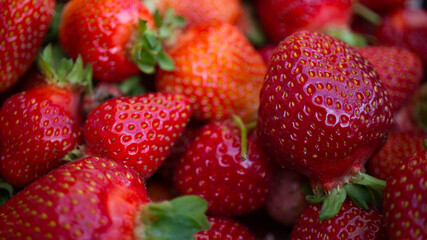 fresh Kashubian strawberries in closeup