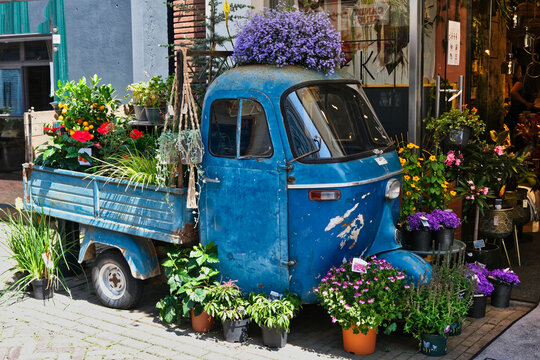 Flower Wagon #14