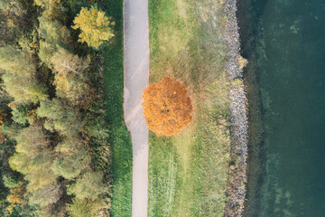 Beautiful autumn lake, Autumn,fall season,lonely tree in autumn colors. Lake pogoria in Dabrowa Gornicza Poland aerial drone photo