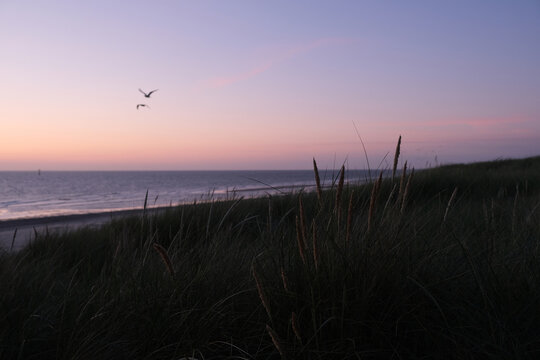 Island Texel Sunddown #4