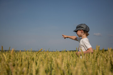 Naklejka na ściany i meble A boy in a vintage cap in a yellow wheat field in summer