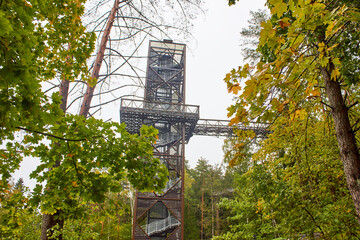 Observation tower and bridge to it in the forest