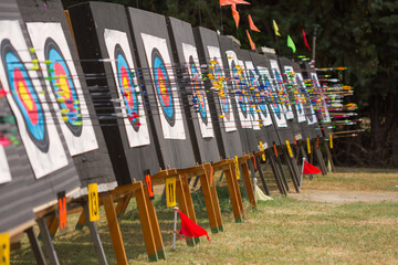 Arrows on archery targets.