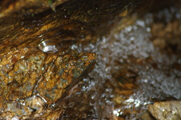 Crystal splashes of water, playful foam in the streams of the river. Stones under the streams of a swift, mountain river...