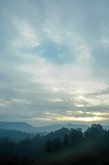 Mountain misty view from the Mount Gede to the forest valley at the sunset