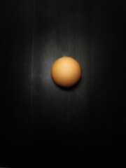 egg in the dark