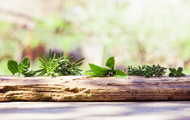 Row of various spicy herbs on wooden plank