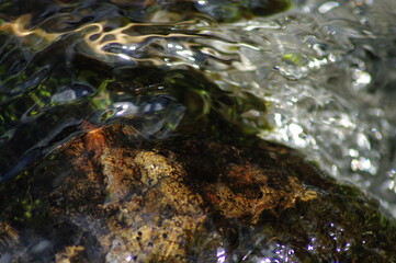 Crystal splashes of water, playful foam in the streams of the river. Stones under the streams of a swift, mountain river...