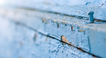 wooden background of blue wall