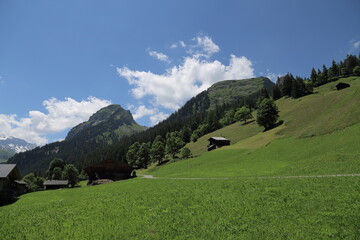 Swiss Alps