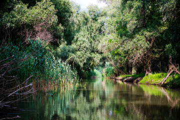 Danube Delta Landscape