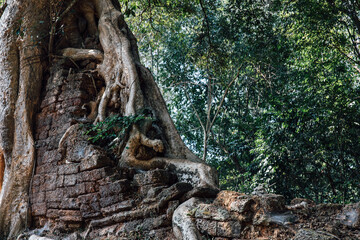 angkor wat siem reap cambodia