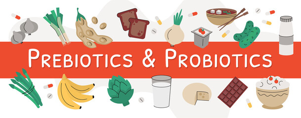 Flat vector illustration of probiotic and prebiotic products. Sources of these bacteria is nutrient rich food such as soy beans, asparagus, onion, artichoke, cheese, kefir, sour cream, milk, pickles