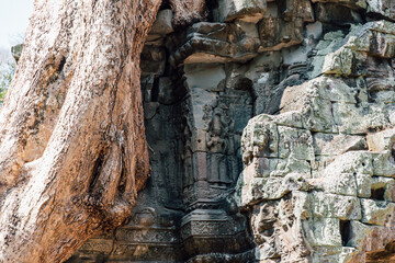 angkor wat siem reap cambodia