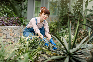 Naklejka na ściany i meble View of young attractive Caucasian woman gardener working in a greenhouse. Smiling beautiful girl in jeans overalls in garden or hothouse looking at camera with smile