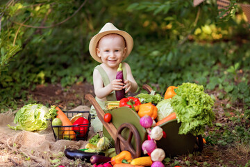 Healthy eating concept. Happy boy in nature collects a crop of vegetables in a trolley and prepares a salad. Little gardener